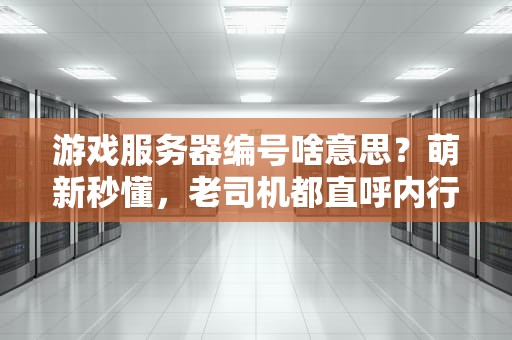 游戏服务器编号啥意思？萌新秒懂，老司机都直呼内行！