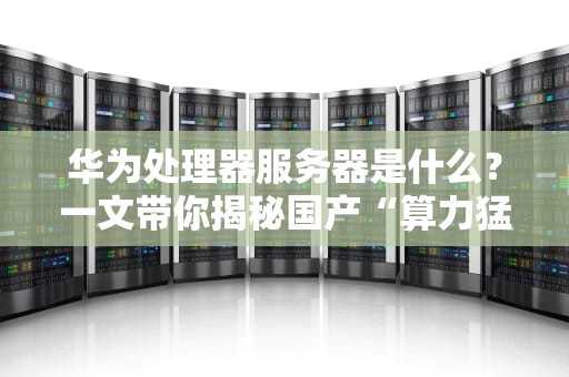 华为处理器服务器是什么？一文带你揭秘国产“算力猛兽”的硬核实力！