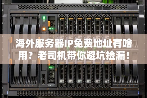 海外服务器IP免费地址有啥用？老司机带你避坑捡漏！