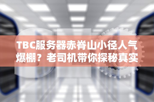 月抛VPS是什么？揭秘这种快餐式服务器的优缺点（附专业测试指南）