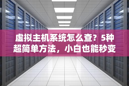 虚拟主机系统怎么查？5种超简单方法，小白也能秒变老司机！