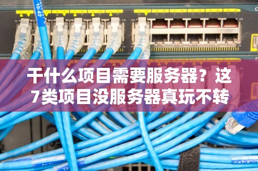 干什么项目需要服务器？这7类项目没服务器真玩不转！