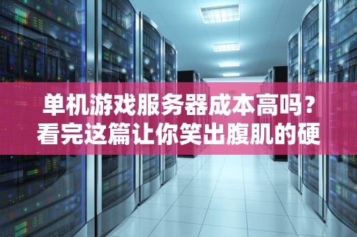 单机游戏服务器成本高吗？看完这篇让你笑出腹肌的硬核分析！