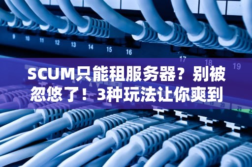 SCUM只能租服务器？别被忽悠了！3种玩法让你爽到飞起！