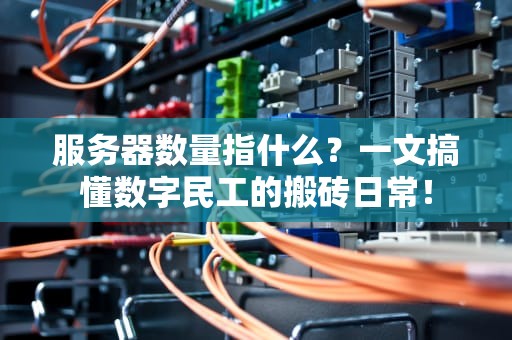 服务器数量指什么？一文搞懂数字民工的搬砖日常！