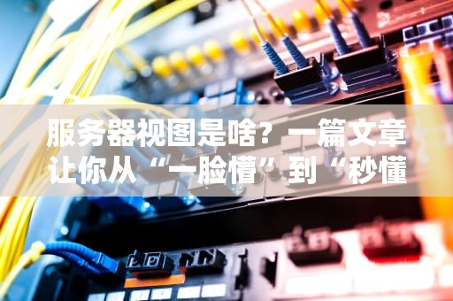 服务器视图是啥？一篇文章让你从“一脸懵”到“秒懂大神”！（附实战案例）