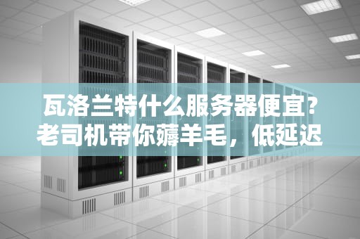 瓦洛兰特什么服务器便宜？老司机带你薅羊毛，低延迟畅玩不卡顿！
