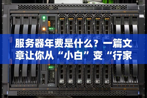 服务器年费是什么？一篇文章让你从“小白”变“行家”！