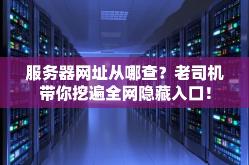 服务器网址从哪查？老司机带你挖遍全网隐藏入口！