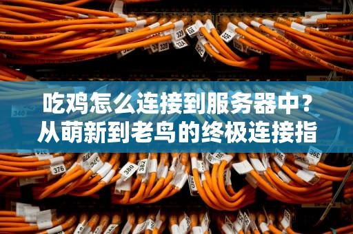 吃鸡怎么连接到服务器中？从萌新到老鸟的终极连接指南！