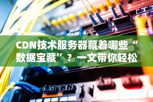 CDN技术服务器藏着哪些“数据宝藏”？一文带你轻松挖宝！