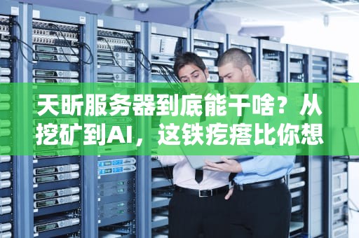 天昕服务器到底能干啥？从挖矿到AI，这铁疙瘩比你想的还万能！