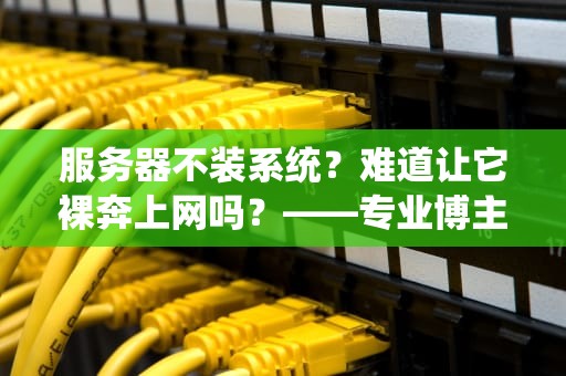 服务器不装系统？难道让它裸奔上网吗？——专业博主带你揭秘服务器系统的必要性
