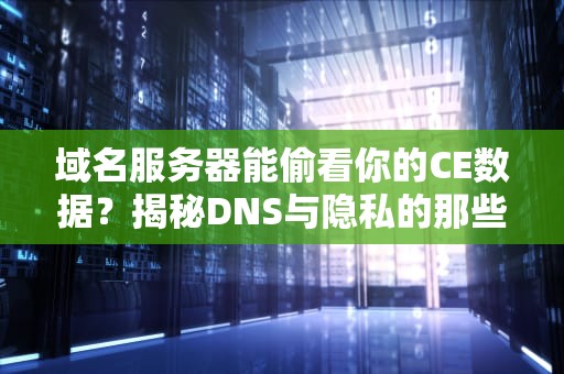 域名服务器能偷看你的CE数据？揭秘DNS与隐私的那些事儿！