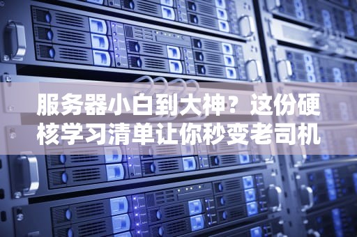 CDN服务器互联网世界的外卖小哥，你的网站为何需要它？