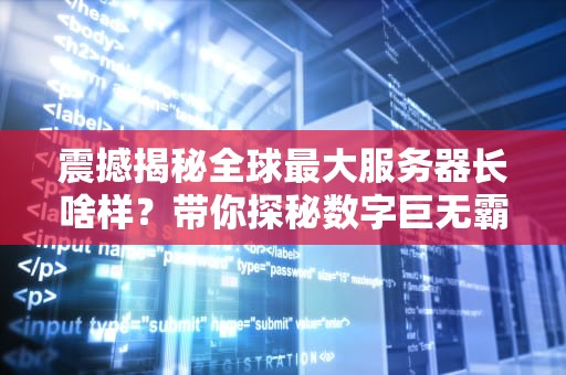 震撼揭秘全球最大服务器长啥样？带你探秘数字巨无霸的奇妙世界！