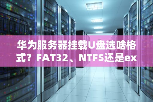 华为服务器挂载U盘选啥格式？FAT32、NTFS还是exFAT？老司机实测避坑指南！