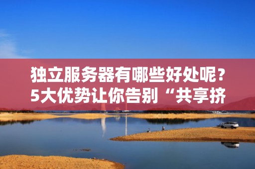 独立服务器有哪些好处呢？5大优势让你告别“共享挤公交”时代！