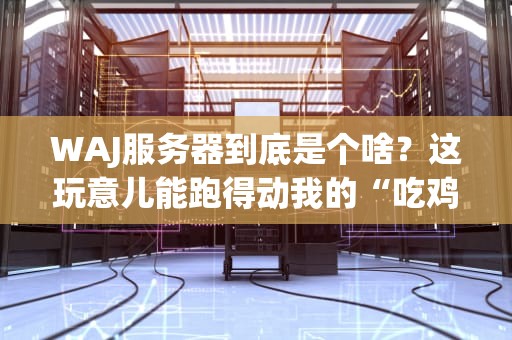WAJ服务器到底是个啥？这玩意儿能跑得动我的“吃鸡”吗？