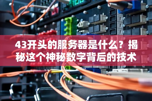 43开头的服务器是什么？揭秘这个神秘数字背后的技术玄机！