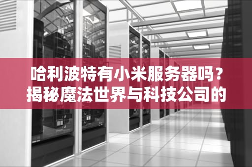 哈利波特有小米服务器吗？揭秘魔法世界与科技公司的跨界脑洞