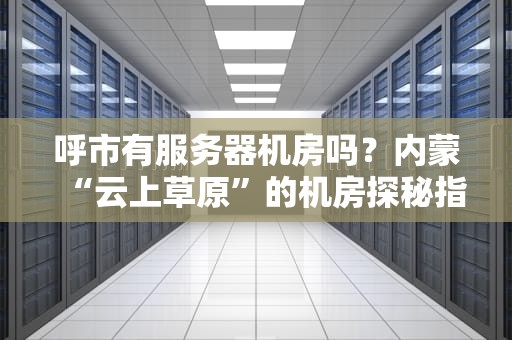 呼市有服务器机房吗？内蒙“云上草原”的机房探秘指南！