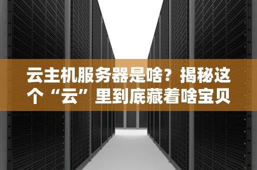 云主机服务器是啥？揭秘这个“云”里到底藏着啥宝贝！
