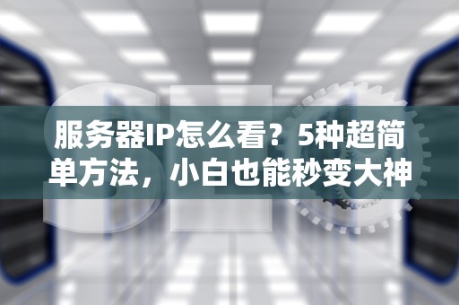 服务器IP怎么看？5种超简单方法，小白也能秒变大神！
