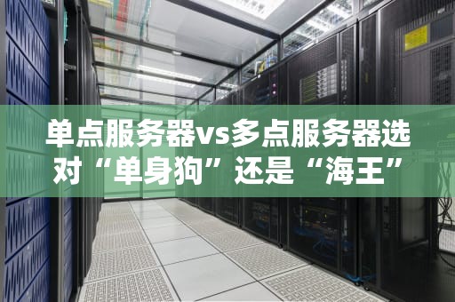 单点服务器vs多点服务器选对“单身狗”还是“海王”？技术老司机带你避坑！