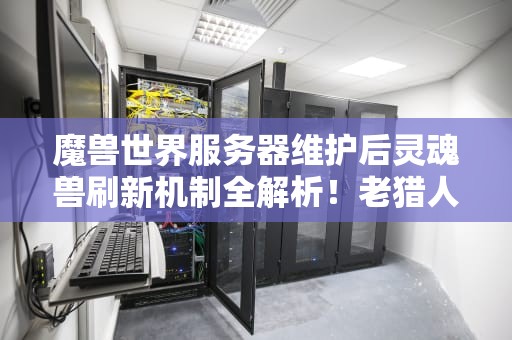 魔兽世界服务器维护后灵魂兽刷新机制全解析！老猎人必看攻略