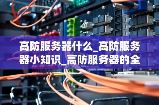 高防服务器什么_高防服务器小知识_高防服务器的全面解析与应用