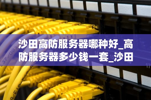 沙田高防服务器哪种好_高防服务器多少钱一套_沙田高防服务器的选择与应用