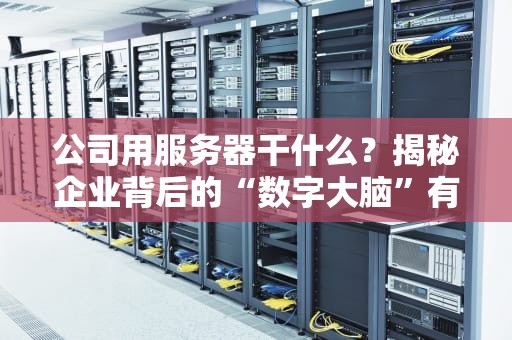 公司用服务器干什么？揭秘企业背后的“数字大脑”有多硬核！