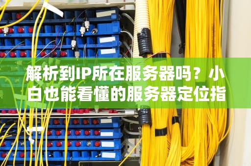 解析到IP所在服务器吗？小白也能看懂的服务器定位指南！