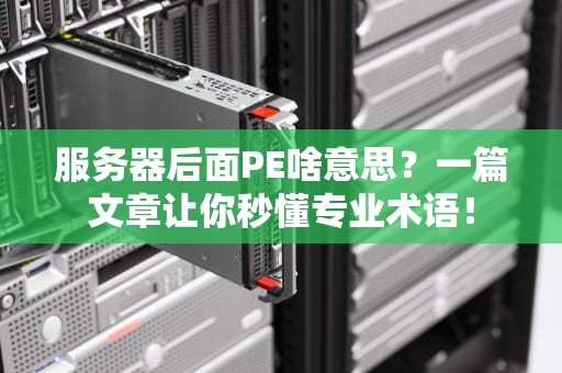 服务器后面PE啥意思？一篇文章让你秒懂专业术语！