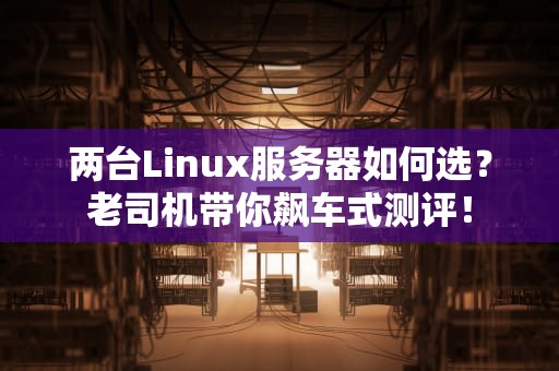 两台Linux服务器如何选？老司机带你飙车式测评！