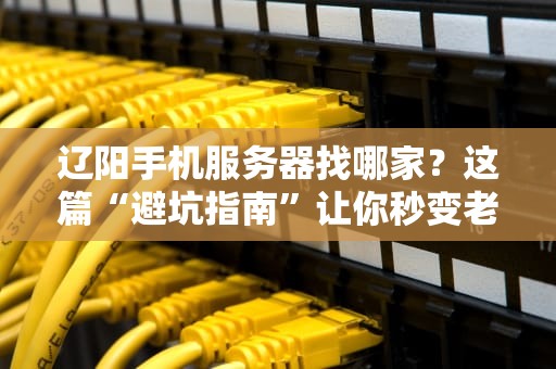 辽阳手机服务器找哪家？这篇“避坑指南”让你秒变老司机！