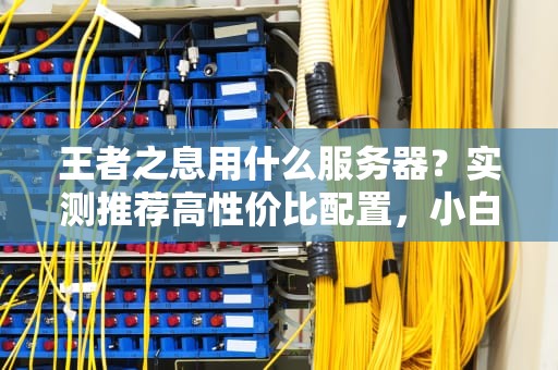 王者之息用什么服务器？实测推荐高性价比配置，小白秒懂！