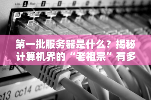 第一批服务器是什么？揭秘计算机界的“老祖宗”有多憨憨！