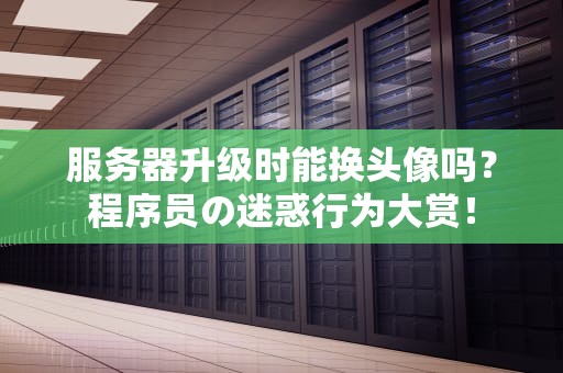服务器升级时能换头像吗？程序员の迷惑行为大赏！