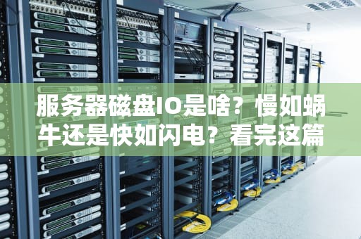 服务器磁盘IO是啥？慢如蜗牛还是快如闪电？看完这篇你就懂了！