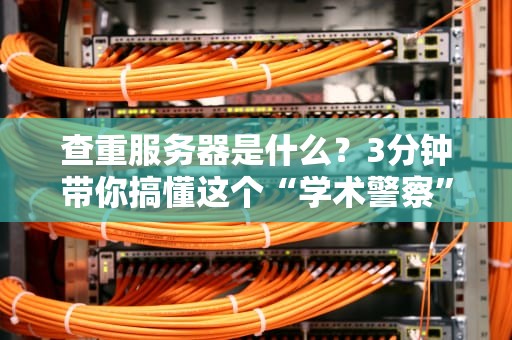 查重服务器是什么？3分钟带你搞懂这个“学术警察”的硬核原理！