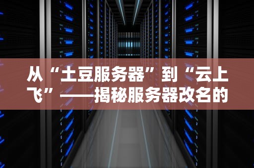 从“土豆服务器”到“云上飞”——揭秘服务器改名的那些骚操作