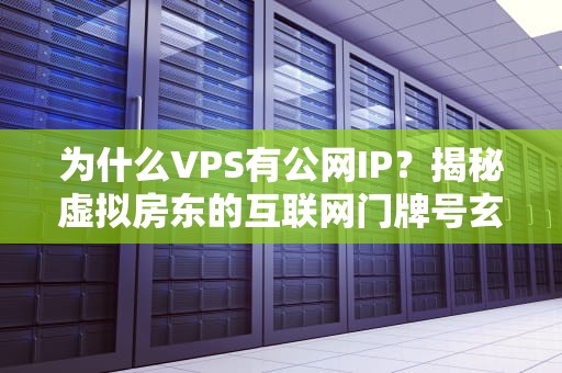 为什么VPS有公网IP？揭秘虚拟房东的互联网门牌号玄机！
