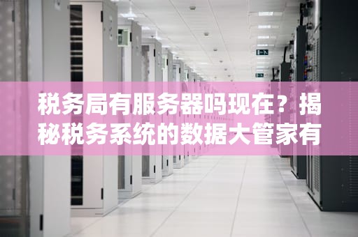 税务局有服务器吗现在？揭秘税务系统的数据大管家有多硬核！