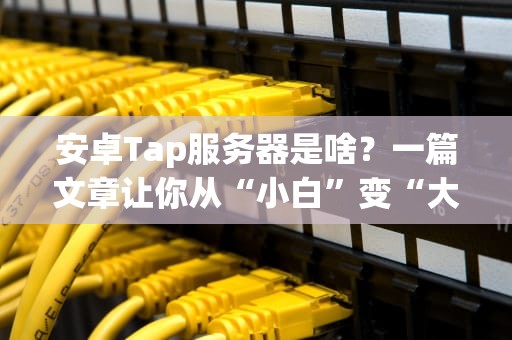 安卓Tap服务器是啥？一篇文章让你从“小白”变“大神”！