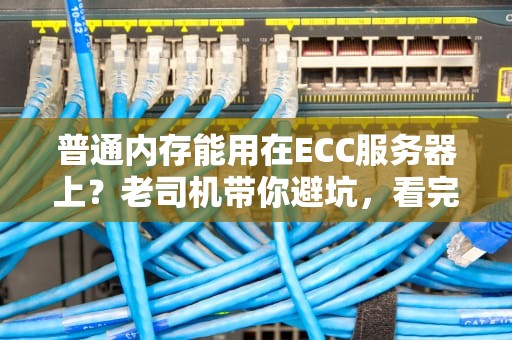 普通内存能用在ECC服务器上？老司机带你避坑，看完秒懂！