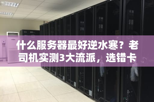 什么服务器最好逆水寒？老司机实测3大流派，选错卡成PPT！
