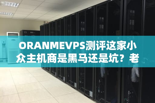 ORANMEVPS测评这家小众主机商是黑马还是坑？老司机带你飙车实测！