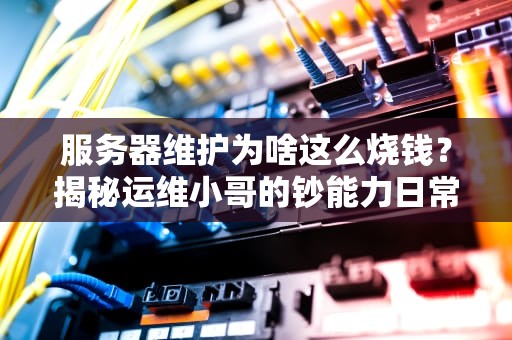 服务器维护为啥这么烧钱？揭秘运维小哥的钞能力日常！